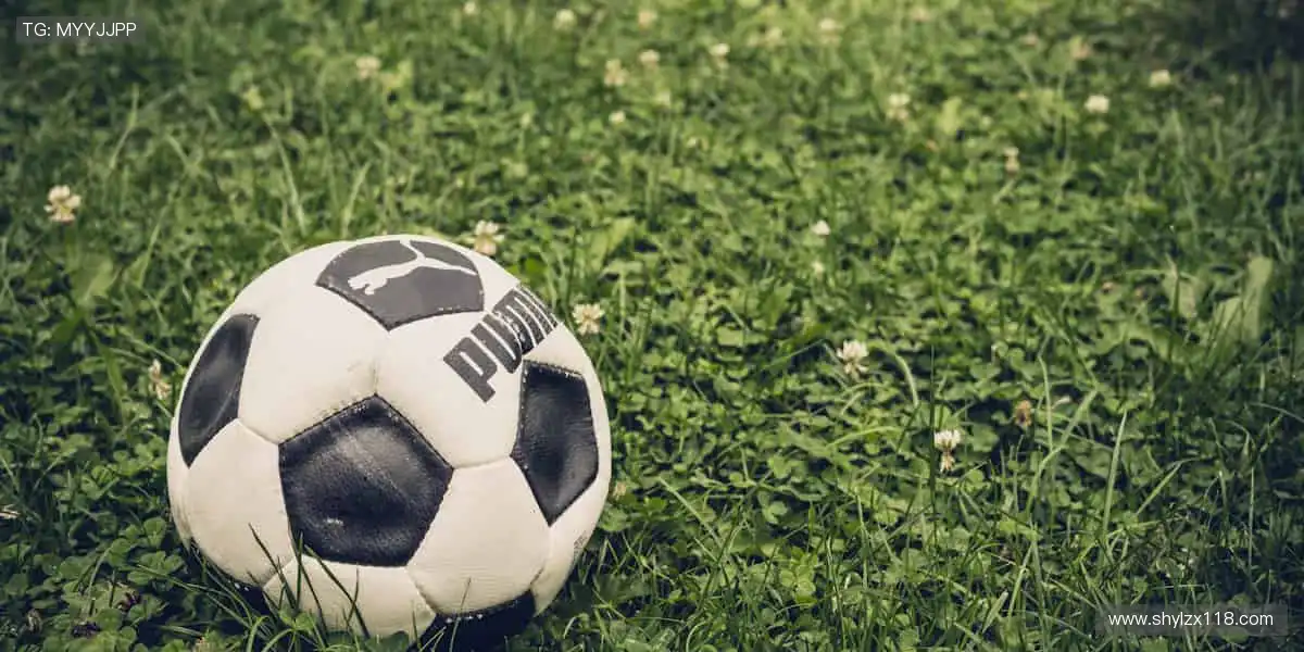 🎾专业周边,为热爱注入灵魂色彩!