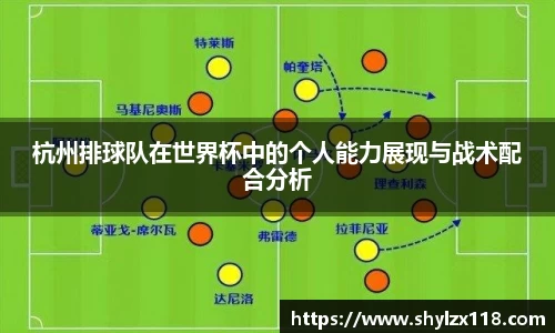 杭州排球队在世界杯中的个人能力展现与战术配合分析