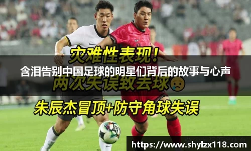 含泪告别中国足球的明星们背后的故事与心声